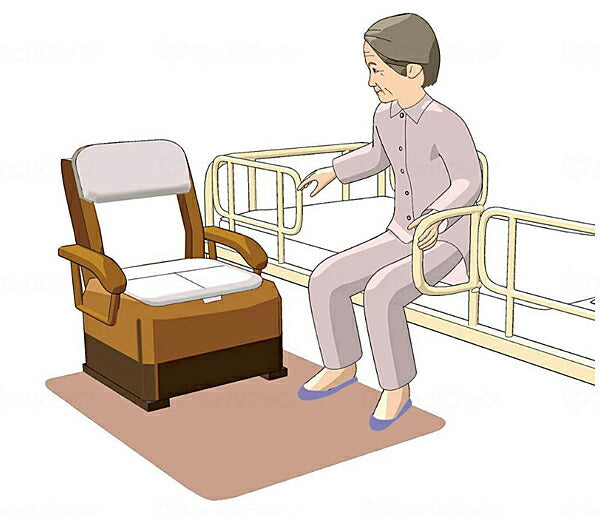 ゼオシーター Sサイズ SZ-S シンエイテクノ (ポータブルトイレ用防臭すべり止めマット) 介護用品