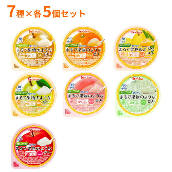 ハウスギャバン 介護食 区分3 やさしくラクケア まるで果物のようなゼリー 7種×各5個セット ( 区分3 舌でつぶせる デザート やわらか食 お試し ) 介護用品
