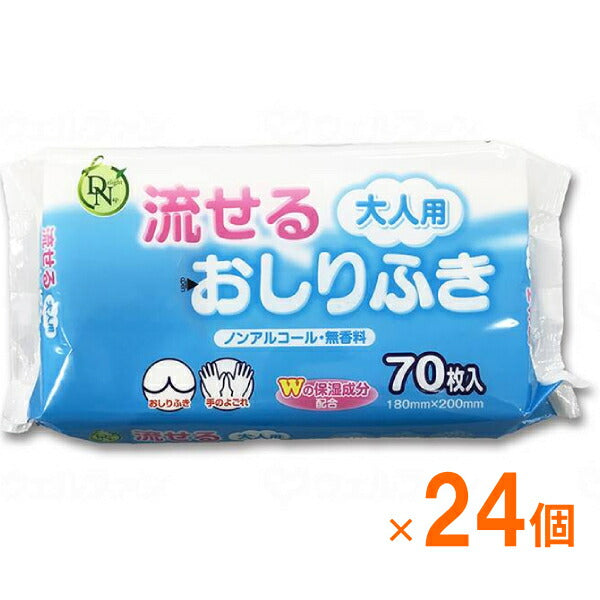 ( 1ケース ) 24袋 トイレに流せるタイプ 大人用流せるおしりふき 70枚 ノンアルコール 無香料 大一紙工 ( ポップアップ式 不織布 清拭 おむつ交換時 お手拭き 身体拭き ) 介護用品
