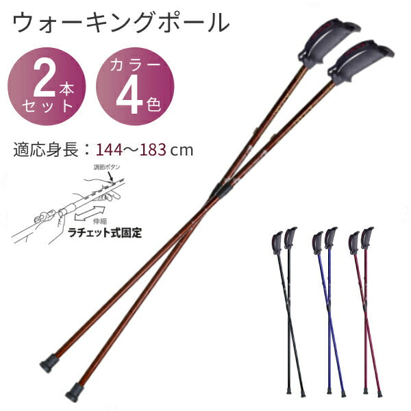 杖 安定歩行 ラチェット固定 ウォーキングポール 歩ミングポール 2本1