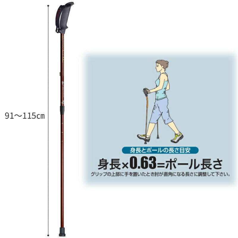 杖 安定歩行 ラチェット固定 ウォーキングポール 歩ミングポール 2本1組 APBE-205A 適用身長:約144〜183cm キザキ 介護用品 ノルディックポール 高齢者 杖 高齢者杖 ノルディック杖 ウォーキングポール sgマーク