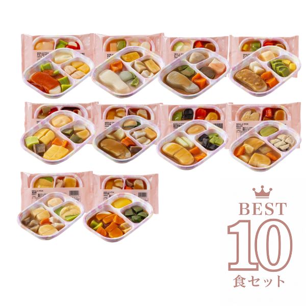 介護食 冷凍 ムース やわらか SGセット ベスト10 日東ベスト 区分3 舌