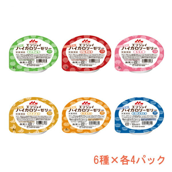 介護食 ハイカロリーゼリー エンジョイ小さなハイカロリーゼリー いろいろセット 0651891 6種×4個 森永乳業クリニコ ゼリー 詰め合わせ 介護 食 高 カロリー ゼリー 介護用品 高齢者 食欲不振 栄養補助食品