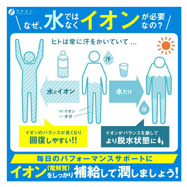 イオンドリンク 1L用(6.4g×40本) スポーツドリンクの味 大容量 40L分 スティックタイプ 粉末清涼飲料 ファイン 介護食 水分補給 熱中症対策 介護用品