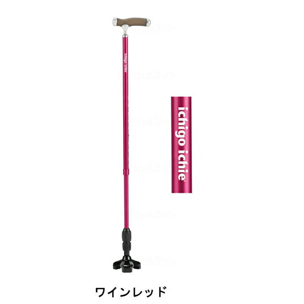 杖 ステッキ もっちートリプル ASG-G3BK マキテック 介護 多点 3点杖 介護用品