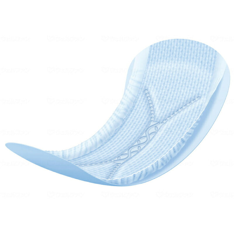 1ケース エリエール ナチュラさら肌さらり あんしん吸水ナプキン 20.5cm 30cc 無香料 24枚×36袋 大王製紙 介護用品 尿もれパット 女性用