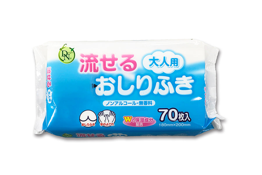 (1ケース) DN流せる大人用おしりふき B00399 70枚×24個 大一紙工 (介護 排泄 おしりふき) 介護用品