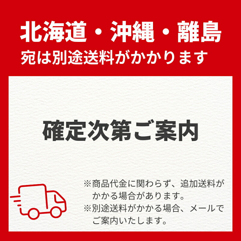 【2枚セット】介護用パジャマ マンラク1型ねまきLLサイズ 冬用 1101(上下続き服 介護用つなぎ服 いたずら防止 綿100%) 介護用品