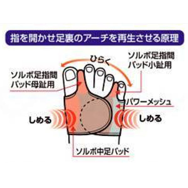 ソルボ 外反母趾・内反小趾サポーター 固定薄型 メッシュタイプ (片足入) 左用 右用 S M L 三進興産 (サポーター) 介護用品