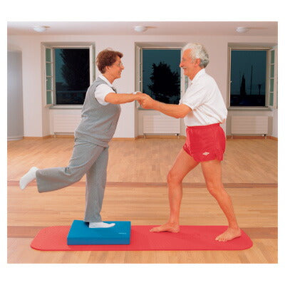 (代引き不可)エアレックスマット バランスパッドXL AMB-XL 酒井医療(フィットネス バランス訓練 トレーニング ヨガ)介護用品