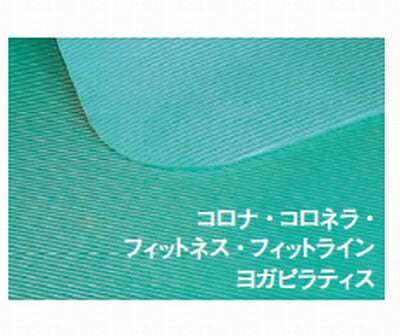 (代引き不可)エアレックスマット フィットネス120(フィットネス バランス訓練 トレーニング ヨガ)介護用品