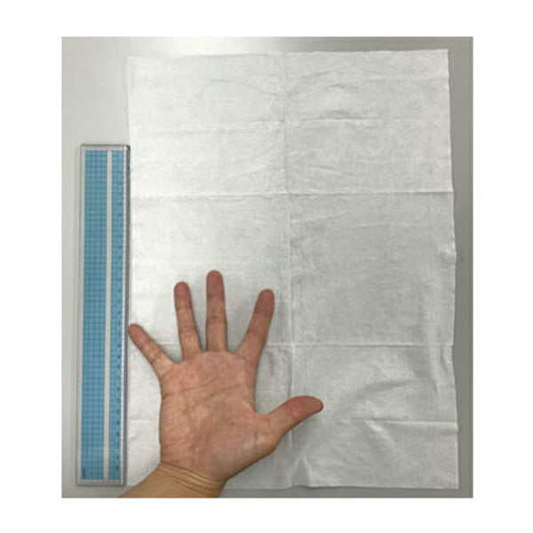 からださわやか 清拭タオル 11114 特大30枚入 ピジョン (汗拭きシート ボディ用 使い捨て) 介護用品