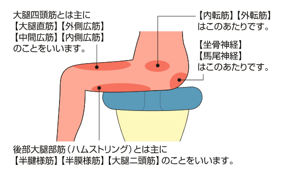 アルファックス お医者さんの円座クッション AP-5613 (介護用品 体圧分散 床ずれ 姿勢改善)介護用品