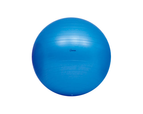 ボディーボール65 / H-7262 青 トーエイライト