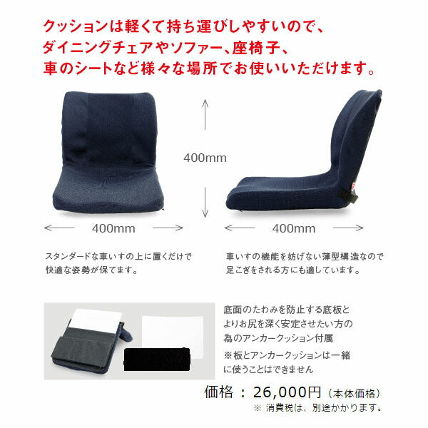 車椅子用クッション モールドシート PAS-MSW-002 ピーエーエス (車椅子クッション 座位保持 腰痛対策 姿勢 体幹 ポジショニング) 介護用品
