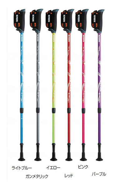 杖 ステッキ おしゃれ DFP プログレッシブズーム 2本1組 WH1120 羽立工業(ウォーキングポール ウォーキング) 介護用品