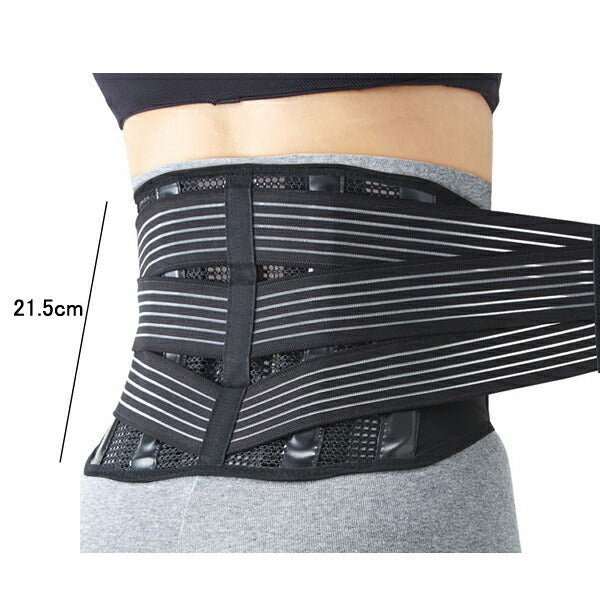 ソルボ楽らく腰ガード トリプルサポート 63100 三進興産 (介護 骨盤 サポーター) 介護用品