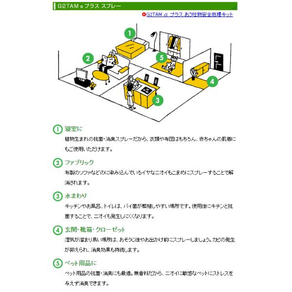 介護 消毒液 除菌 病院 施設 除菌スプレー (施設・法人様限定) 代引き不可 G2TAMαPLUS 300ml×36本 感染対策商品 感染対策用品 インフルエンザ 除菌 スプレー 業務用 消臭 抗菌 除菌 抗カビ剤 ノロウィルス 対策 介護用品