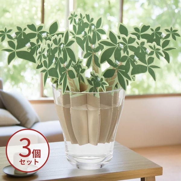 【3個セット】紙の加湿器 どこでもモイスチャー パキラ DM-223 エレメンツ 介護 加湿器 便利用品 介護用品 卓上 小型 お手入れ簡単 かわいい おしゃれ  自然気化式加湿器 気化式 乾燥対策 予防 ペーパー加湿器 節電 無音 静か 加湿