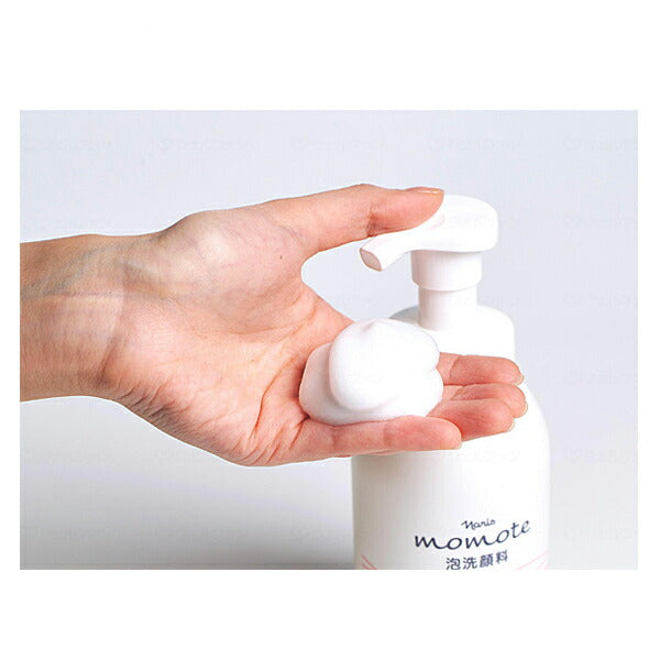 モモテ 泡洗顔料 300mL　2N90000 ナリス化粧品 介護 しっとり スキンケア 洗顔料 メイク落とし 泡タイプ 介護用品