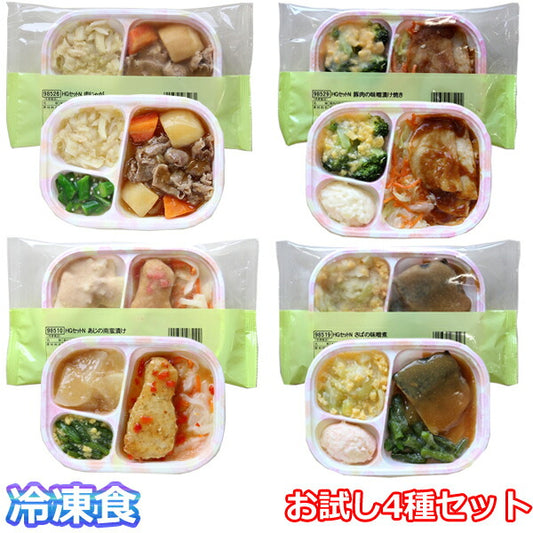 介護食 冷凍 （代引き不可）冷凍おかず おためし4食セット ホスピタグルメ HGセット 4種類×1袋 日東ベスト おかず やわらかい 軟菜食 介護用品