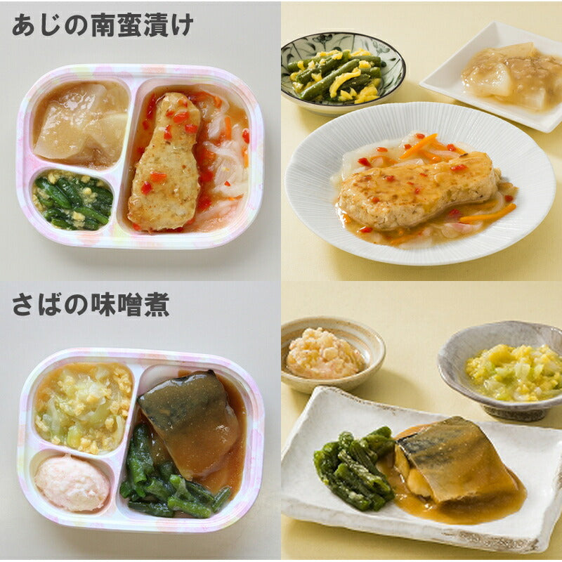 介護食 やわらかおかずセット  冷凍 冷凍おかず やわらか（代引き不可） HGセット 8種類×5袋 日東ベスト 冷凍食 おかず 軟菜食 介護用品 ホスピタグルメセット