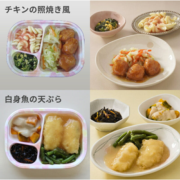 介護食 やわらかおかずセット  冷凍 冷凍おかず やわらか（代引き不可） HGセット 8種類×5袋 日東ベスト 冷凍食 おかず 軟菜食 介護用品 ホスピタグルメセット