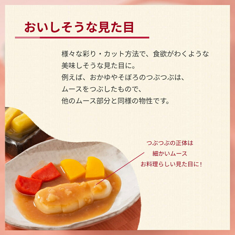 介護食 冷凍 ムース やわらか SGセット ベスト10 日東ベスト 区分3 舌
