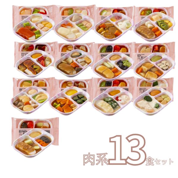 介護食 冷凍 ムース やわらか SGセット 肉系13種類×1 日東ベスト 区分3 舌でつぶせる 冷凍食 ムース食 介護用品 お試しセット（代引き不可）