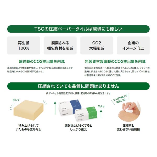 (施設様限定)(1ケース)ソフトペーパータオル 小判 エコノミー 200枚×80パック TSC 業務用 大容量 施設 送料無料 介護用品 まとめ買い (代引き不可)
