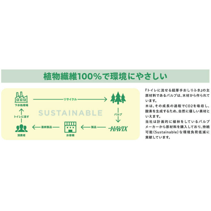 1ケース Kireine キレイネ トイレに流せる超厚手おしりふき 20枚入×24袋 ハビックス株式会社 介護用品 日本製 介護 ノンアルコール からだふきシート 大人用おしりふき まとめ買い
