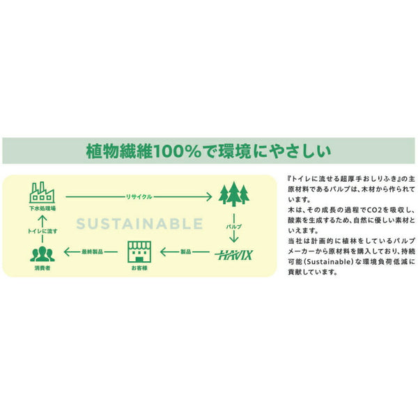 1ケース Kireine キレイネ トイレに流せる超厚手おしりふき 20枚入×24袋 ハビックス株式会社 介護用品 日本製 介護 ノンアルコール からだふきシート 大人用おしりふき まとめ買い