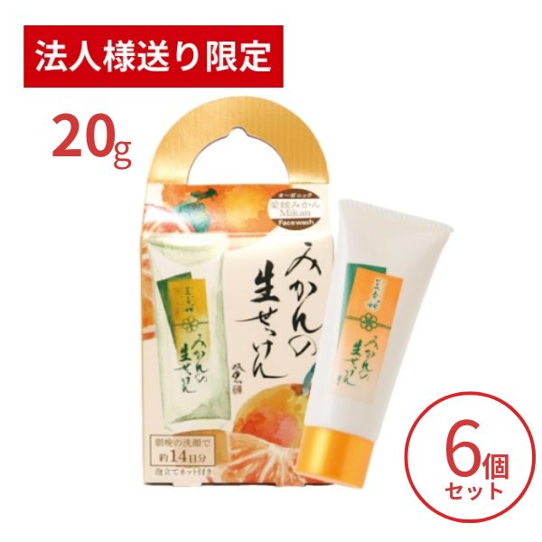【法人・施設様限定】洗顔石鹸 美香柑 みかんの生せっけん ２０ｇ×6個セット UYEKI 洗顔料 毛穴 洗顔フォーム 洗顔石けん 乾燥肌 低刺激 (代引き不可)