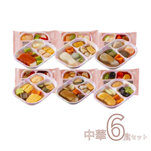 介護食 冷凍 スムースグルメセット 中華 6種×1個 SG 日東ベスト ムース食 やわらか食 嚥下食 介護食品 ミキサー食 区分3 おかず 舌でつぶせる (代引き不可)