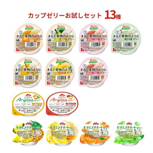 栄養ゼリー お試しセット カップ カップゼリー 13種 お試しセット 高齢者 介護食 ゼリー デザート おやつ 水分補給 食欲不振 アソートセット