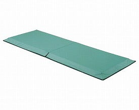 （代引き不可・個人宅限定） テストール 〜衝撃緩和マット〜 KE-200Q パラマウントベッド 介護用品 (日・祝日配達不可 時間指定指定不可)【532P16Jul16】