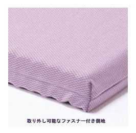 (代引き不可・個人宅限定）プレグラーマットレス レギュラー 幅100cm KE-557Q パラマウントベッド 介護用品  (介護ベッド用マットレス 介護用品) (日・祝日配達不可 時間指定不可）