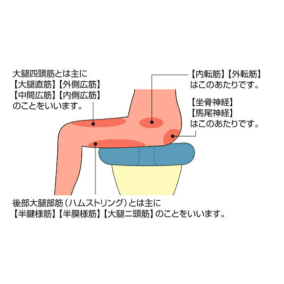 アルファックス お医者さんの円座クッション AP-5613 （介護用品　体圧分散　床ずれ　姿勢改善）介護用品