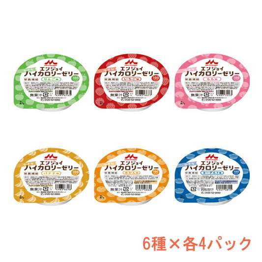 介護食 ハイカロリーゼリー エンジョイ小さなハイカロリーゼリー いろいろセット 0651891 6種×4個 森永乳業クリニコ ゼリー 詰め合わせ 介護 食 高 カロリー ゼリー 介護用品 高齢者 食欲不振 栄養補助食品