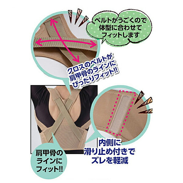 肩甲骨ストレッチベルト 042032002 042032003 042032004 ベージュ セルヴァン サポーター 肩甲骨 肩 背中 ストレッチ 介護 介護用品