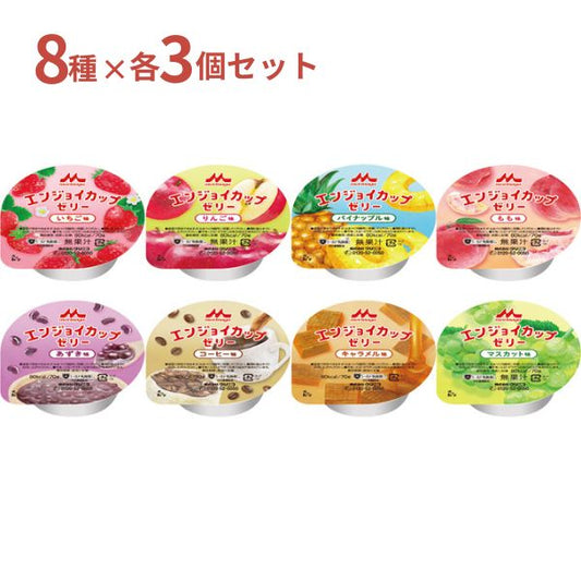 【おまけつき】高カロリーゼリー ハイカロリーゼリー エンジョイカップゼリー いろどりセット 70g×（8種×3個）0655419 森永乳業クリニコ 栄養補助食品 嚥下食 介護食品