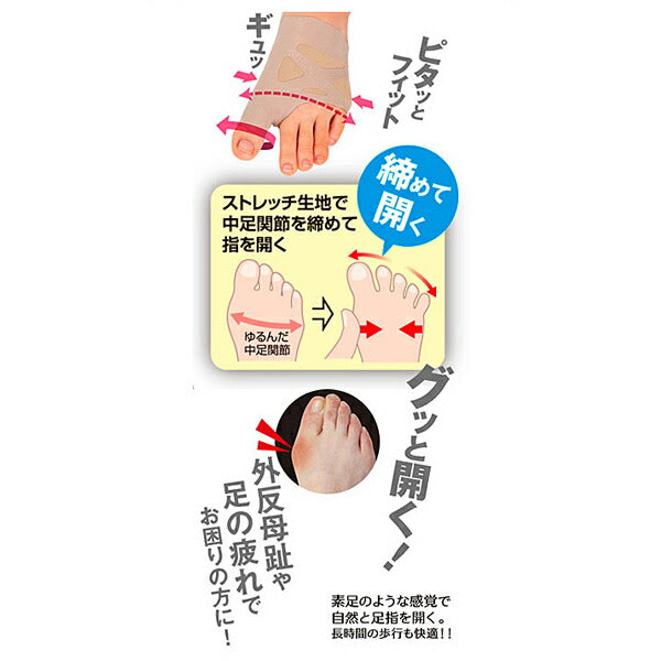 介護 サポーター 足指 お医者さんの外反母趾サポーター ピタ肌 434146 アルファックス 介護用品
