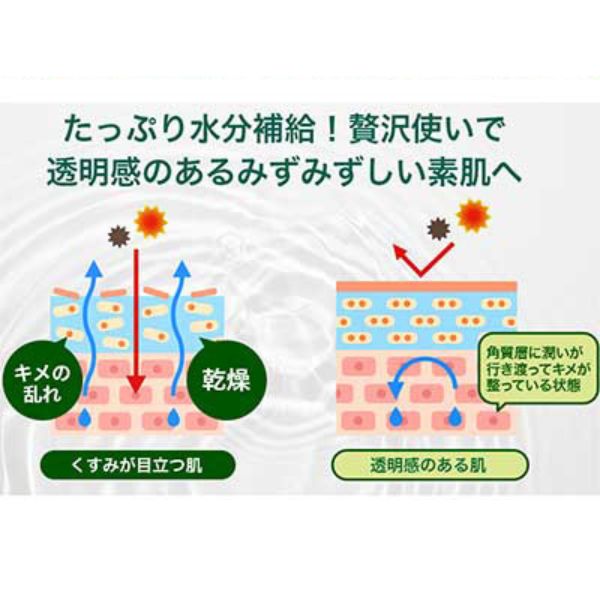i-SAMU（アイサム） CICAハトムギ化粧水 500mL Stay Free (弱酸性 全身 介護) 介護用品