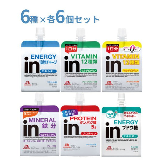 inゼリー 6種×6個 セット お試し 森永製菓  熱中症対策 ゼリー 介護食 食欲不振 高齢者 栄養補助食品 プレゼント ギフト 水分補給