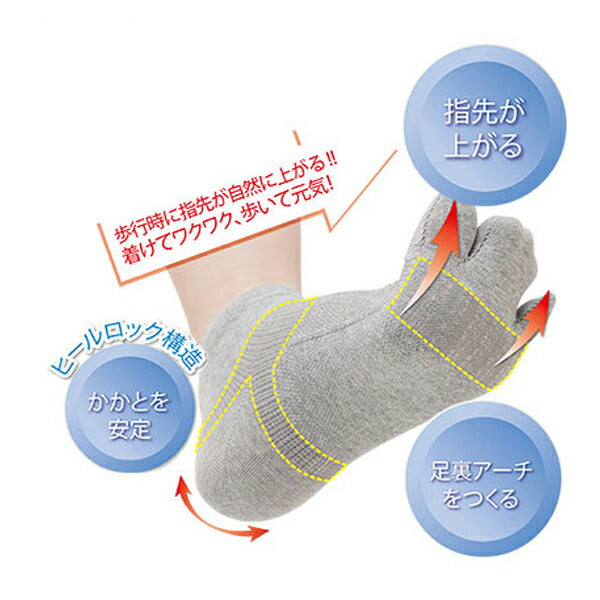 介護 サポーター レディース 婦人用 どんどん歩けるウォーキングサポーター 1足 22.0〜25.5cm グレー セルヴァン 介護用品