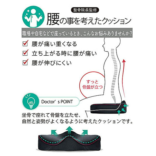 整骨院長監修 腰の事を考えたクッション 低反発タイプ 120139000040023 モリシタ 介護 介護用品