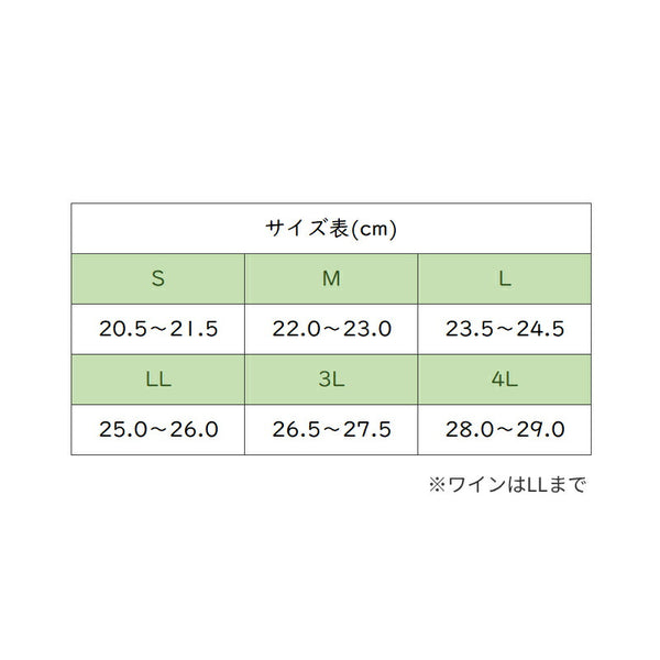 介護シューズ 病院 室内履き あゆみ 徳武産業 早快マジック II レギュラー 2504 3E相当 介護靴 マジックテープ あゆみシューズ 介護用品 レディース メンズ 女性 男性 おしゃれ