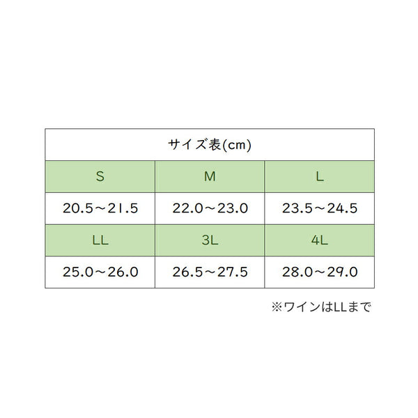 介護シューズ 病院 室内履き あゆみ 徳武産業 早快マジック II レギュラー 2504 3E相当 介護靴 マジックテープ あゆみシューズ 介護用品 レディース メンズ 女性 男性 おしゃれ 介護スリッパ 入院用靴 入院用スリッパ リハビリシューズ 入院用シューズ 入院スリッパ
