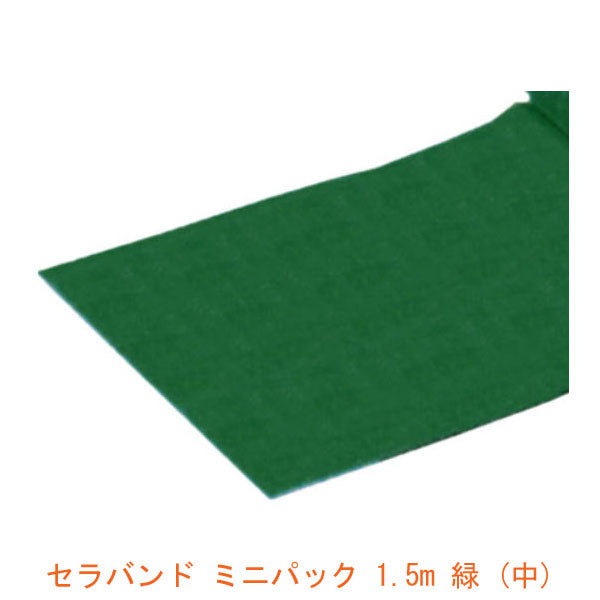 トレーニングバンド セラバンドミニパック 1.5ｍ巻 T131-10（緑-中）(リハビリ トレーニング 天然ゴム) アビリティーズ・ケアネット 介護用品