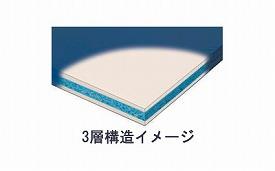 マットレス 床ずれ (代引き不可) 三和化研工業 サスティナ 幅83×長さ191×厚さ9cm (マットレス ウレタンフォーム 体圧分散 リバーシブル